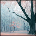 Dreamscape