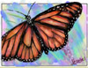 Paintchat — 18 t