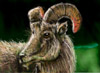 Paintchat — 9 t