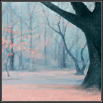 Dreamscape