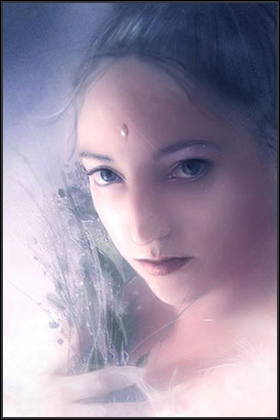 HIGH PRIESTESS OF FROOF