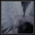GRACEFUL BEAUTY — paint4 off