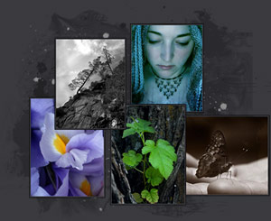 Tiny Photography Peek — photos1