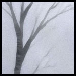 Speedsnow1