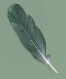 Painting a Feather — 4