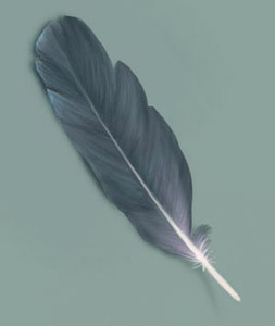 Painting a Feather — 5