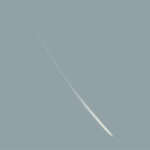 Painting a Feather — feather1