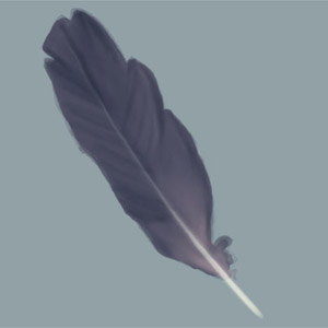 Painting a Feather — feather3