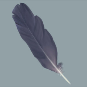 Painting a Feather — feather4
