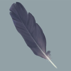 Painting a Feather — feather5