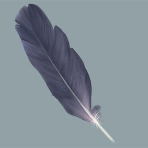 Painting a Feather — feather6