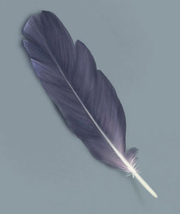 Painting a Feather — feather7
