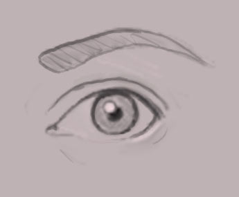 Drawing The Human Eye — eye1