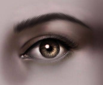 Drawing The Human Eye — eye10