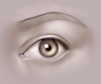 Drawing The Human Eye — eye7