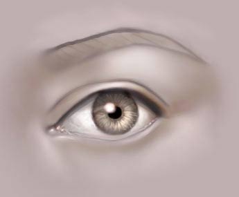 Drawing The Human Eye — eye8