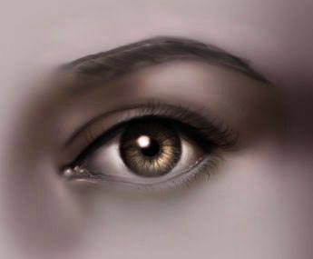 Drawing The Human Eye — eye9