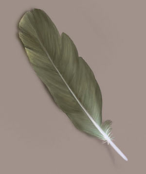 Painting A Feather — 1