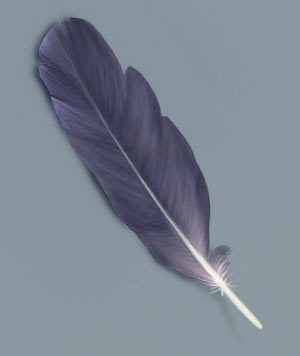 Painting A Feather — 6