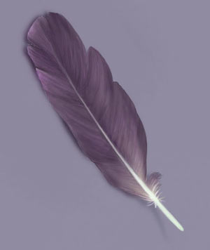 Painting A Feather — 7
