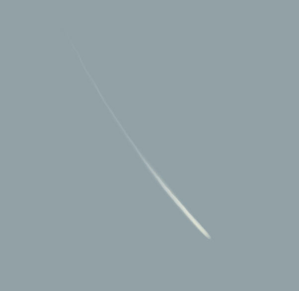 Painting A Feather — feather1