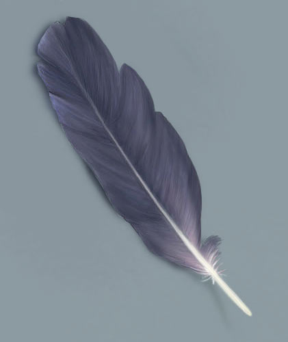 Painting A Feather — feather7
