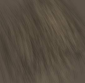 Rendering Fur — froof3