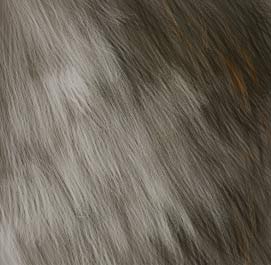 Rendering Fur — froof4