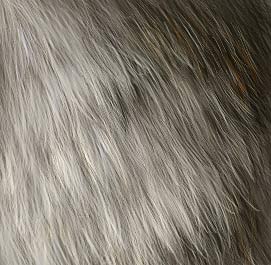 Rendering Fur — froof5