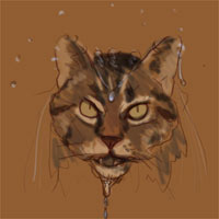 Gizmo — snarl2 sm