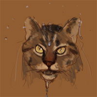 Gizmo — snarl3 sm