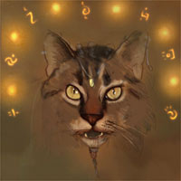 Gizmo — snarl5 sm