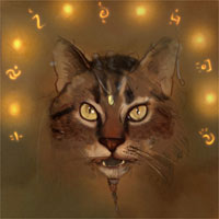 Gizmo — snarl6 sm