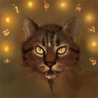 Gizmo — snarl8 sm