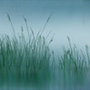 Hazy Landscape — hazy2 sm