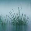 Hazy Landscape — hazy4 sm