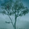 Hazy Landscape — hazy9 sm