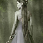 Saydonica — saydonica8 t