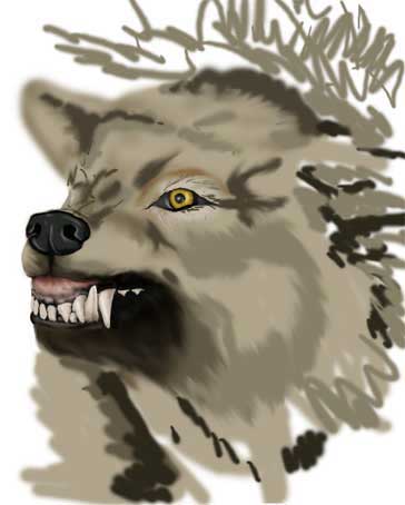 The Worg — wolf2