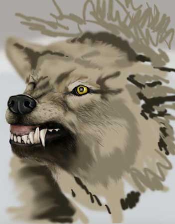 The Worg — wolf3