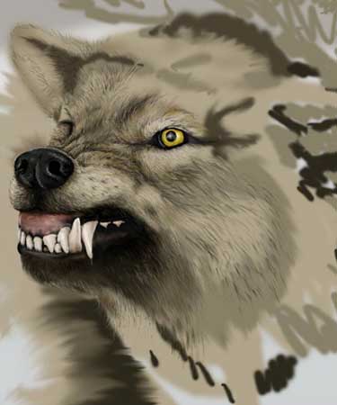 The Worg — wolf4