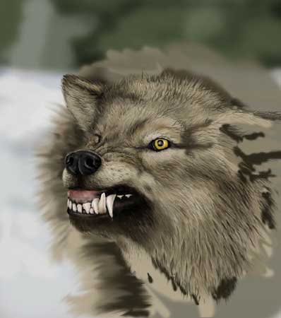 The Worg — wolf6