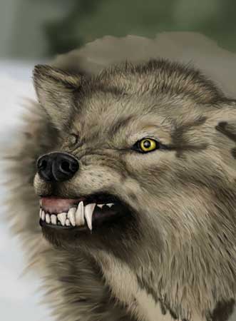 The Worg — wolf7