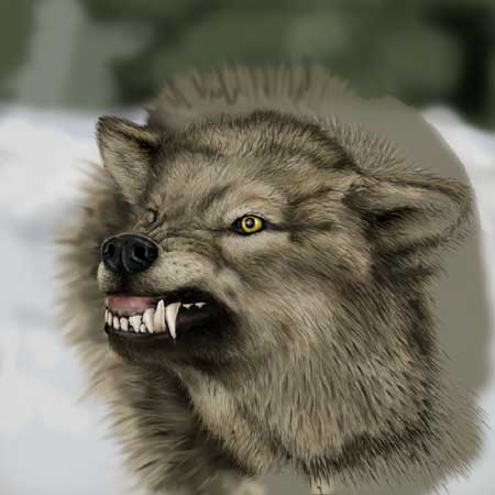 The Worg — wolf8