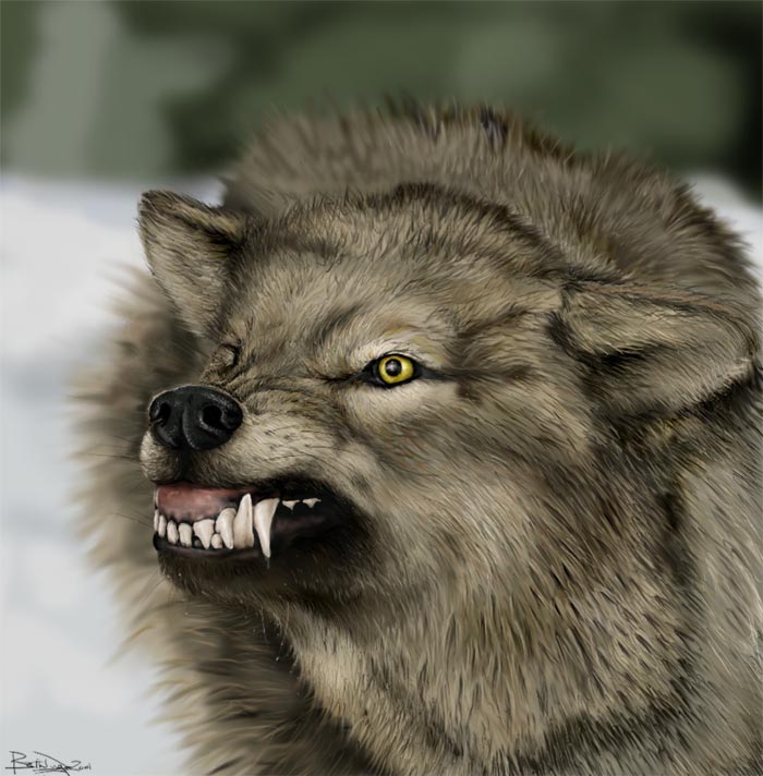 The Worg — wolf9